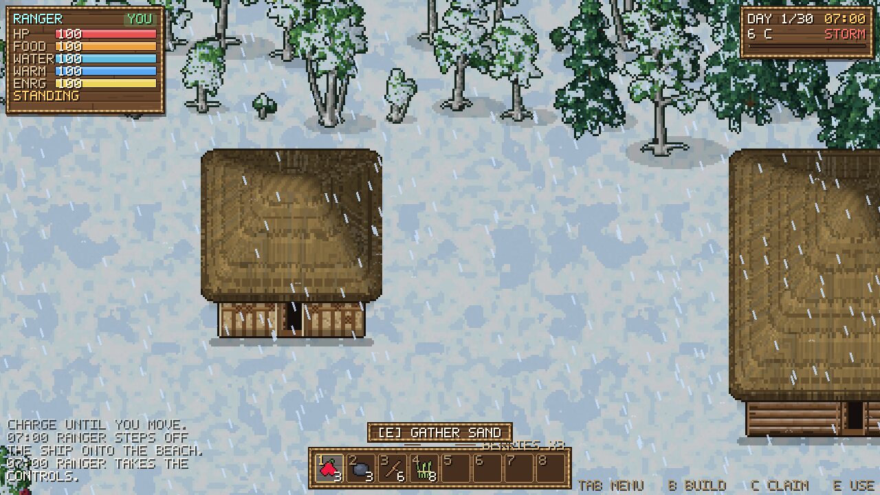 A snowstorm over a house